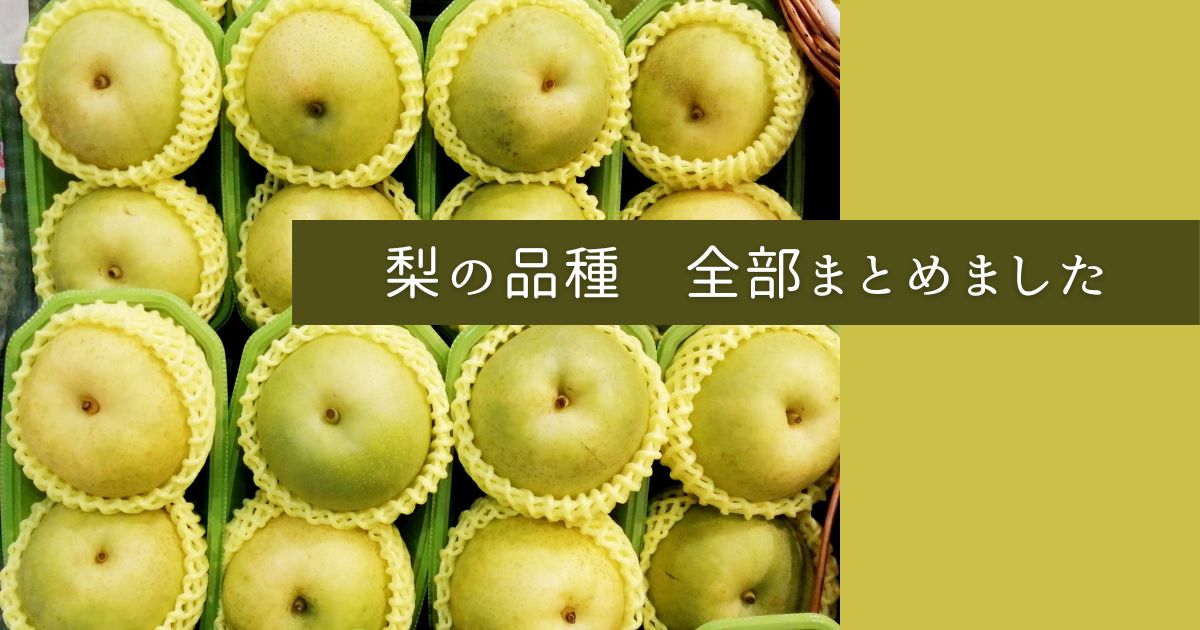 梨の品種一覧 総合・赤梨・青梨ランキング | うまいもん事典
